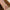 BUY 1 GET 1 FREE Vintage gold brushed wheat ear bracelet for women, vintage exquisite high-end bracelet, light luxury niche design hand jewelry