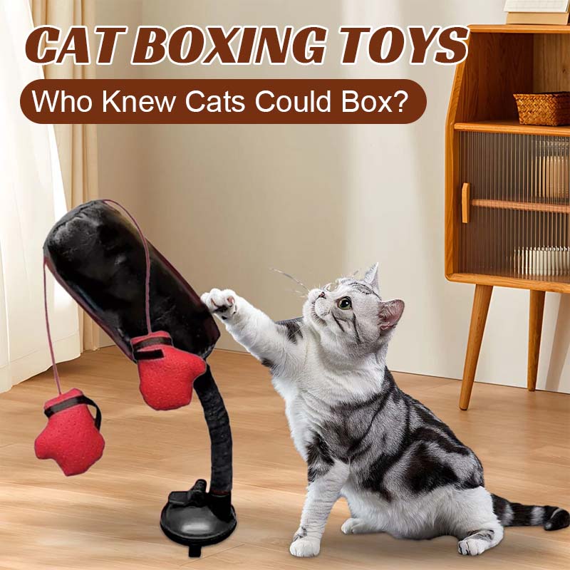 🥊Cat Boxing Toy😻
