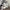 2025 New Ghost Walking Dog Statue