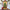 🌟🌟2025 Christmas and Halloween front door decoration