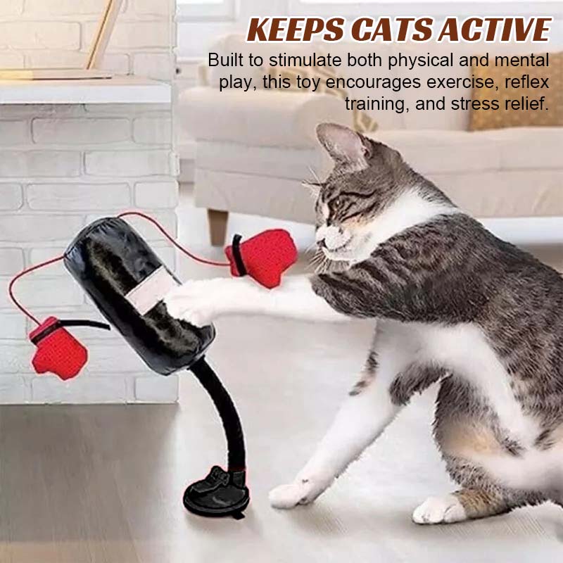 🥊Cat Boxing Toy😻