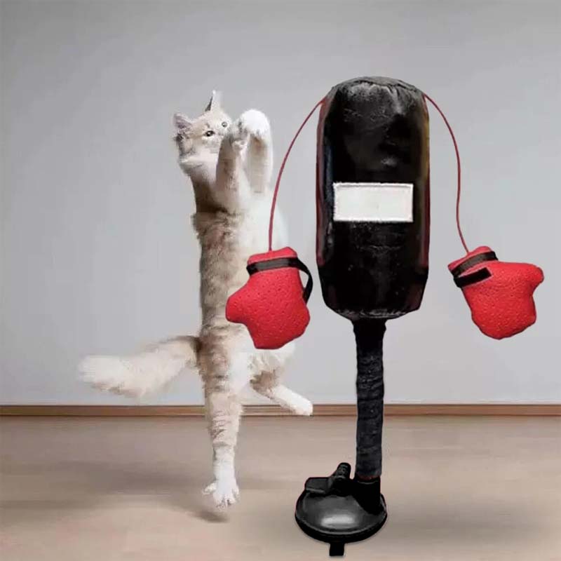 🥊Cat Boxing Toy😻