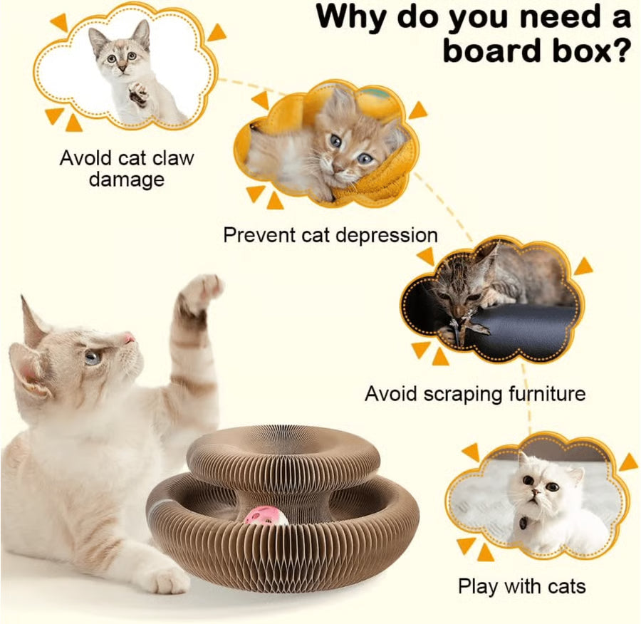 Magic Foldable Scratcher & Cat Bed
