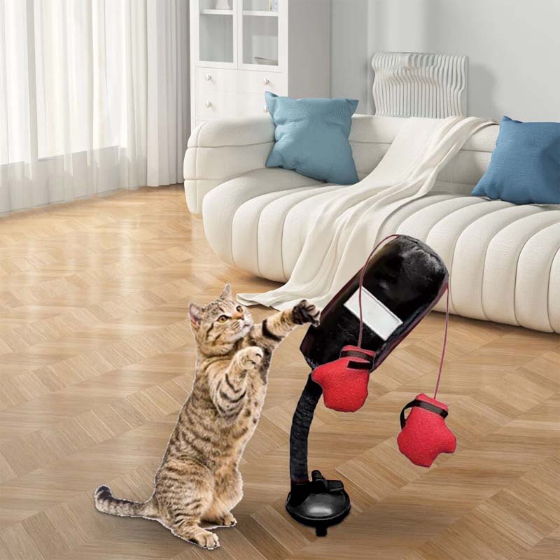 🥊Cat Boxing Toy😻