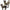 Outdoor Tactical Cat Harness & Leash