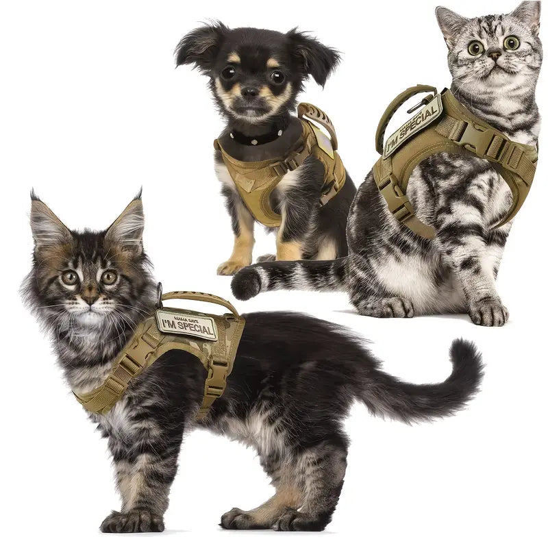Outdoor Tactical Cat Harness & Leash