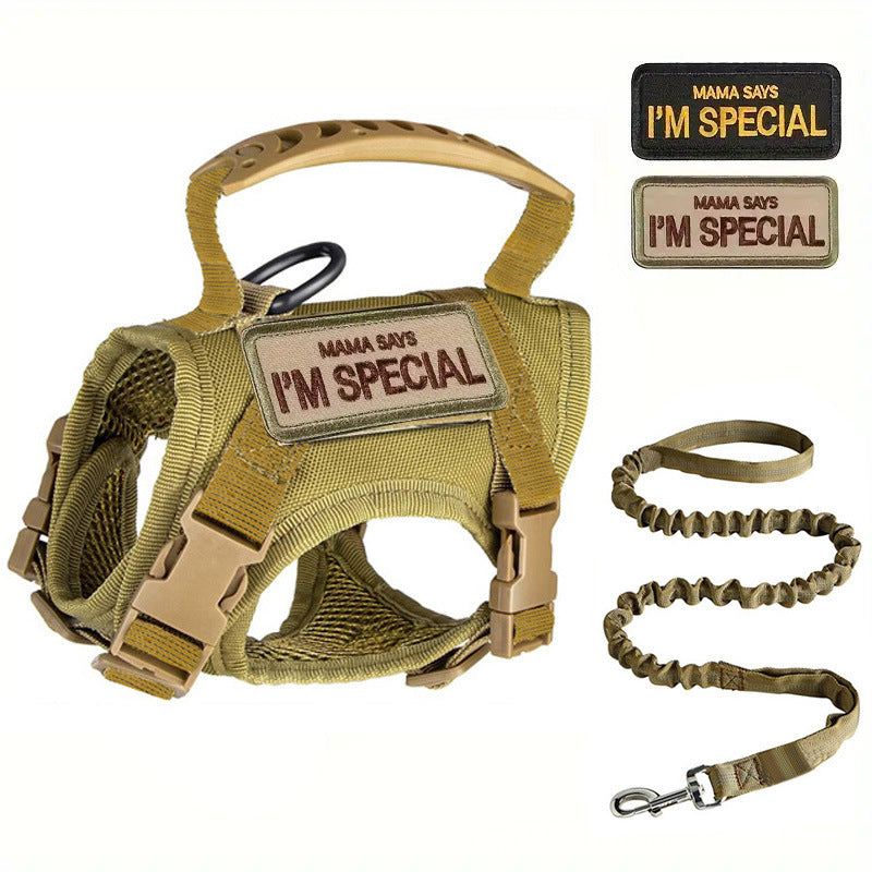Outdoor Tactical Cat Harness & Leash