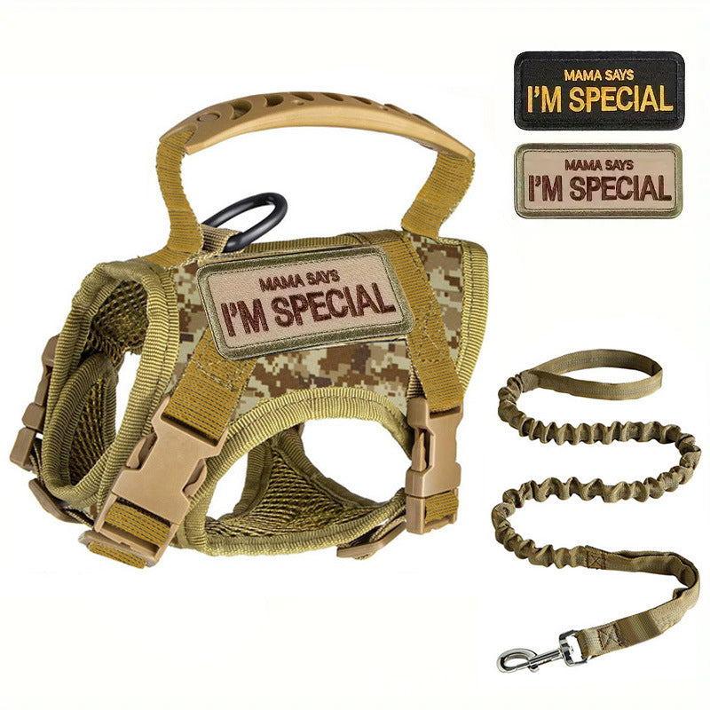 Outdoor Tactical Cat Harness & Leash