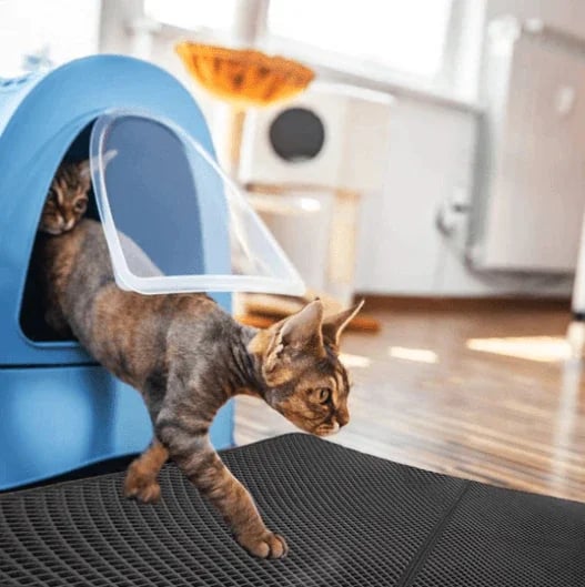 Waterproof🛍️ Cat Litter Mat - Easy Clean & Scatter Contro🐾